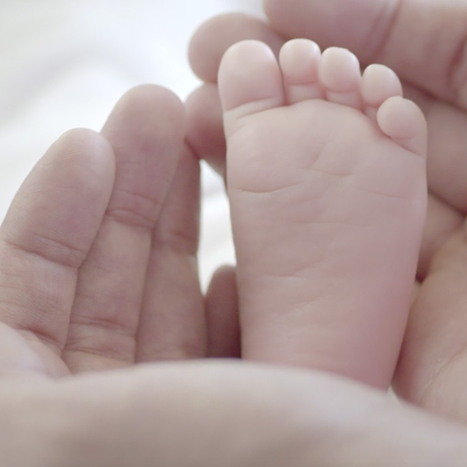 online marketing companies UAE